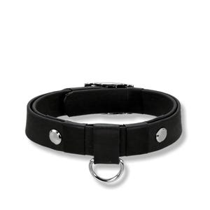 Könnte beinhalten: Ein schwarzes Halsband mit glatter, matter Oberfläche, akzentuiert durch zwei polierte silberfarbene Metallnieten an den Seiten und einen zentralen silberfarbenen D-Ring an einer vertikalen Schlaufe. Das Design umfasst einen sicheren Metallverschluss.