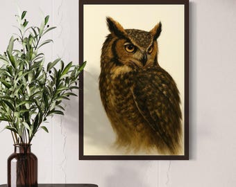 May include: A framed print featuring a detailed illustration of a Great Horned Owl. The owl is depicted with brown and tan feathers, yellow eyes, and prominent ear tufts. The artwork is set against a cream-colored background.