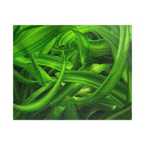 Grass Jungle Puzzle - 110/252/520/1014 pieses