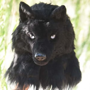 Könnte beinhalten: Eine schwarze Wolfsmaske mit weißen Augen und einer schwarzen Nase. Die Maske besteht aus weichem, plüschigem Material und hat detaillierte Merkmale, darunter spitze Ohren und eine realistische Schnauze. Die Maske wird von einer Hand gehalten.