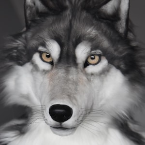 Könnte beinhalten: Nahaufnahme einer Wolfsmaske mit realistischer Fellstruktur in Grau- und Weißtönen. Die Maske hat durchdringende gelbe Augen, eine schwarze Nase und detaillierte Schnurrhaare. Die Brustpartie ist flauschig und weiß.