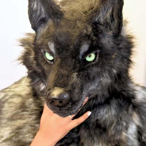 Könnte beinhalten: Eine detaillierte Wolfsmaske mit schwarzem Fell und stechenden grünen Augen. Die Maske wird von einer Hand mit weiß lackiertem Nagel gehalten. Das Fell geht an den Schultern in ein grau-schwarzes Muster über, was ein auffälliges Kostümstück ergibt.