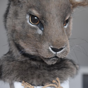 May include: A realistic brown faux fur animal head mask with large pointed ears, amber eyes, and long whiskers. A rectangular wooden tag hangs from the neck by a jute string, featuring the black printed text PinkPawParadox on the front surface.