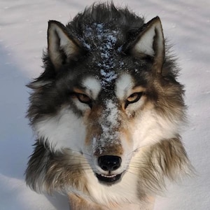 Realistic Wolf Fursuit Head – Handmade Animal Cosplay Mask – Costume for Conventions & Cosplay