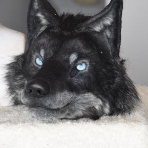 May include: A realistic wolf head mask featuring dense black and charcoal gray faux fur, pointed ears, and striking light blue eyes. The mask has a black nose and detailed facial shading around the eyes and muzzle, creating a lifelike appearance.