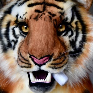 Puede incluir: Primer plano de la cara de un tigre de peluche con la boca abierta, mostrando dientes y un objeto blanco. El tigre tiene rayas naranjas y negras, una nariz marrón y ojos amarillos. El pelaje es detallado.