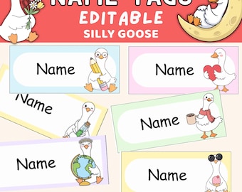 Bearbeitbare Schreibtischname Studenten Tags | Dumme Gans Printable Namensschilder für Klassenzimmer | Instant Download Lehrer