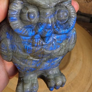 May include: A carved labradorite owl figurine featuring a grey stone base with iridescent blue flashes across the wings, chest, and around the large circular eyes. The sculpture displays detailed feather textures and a prominent beak.