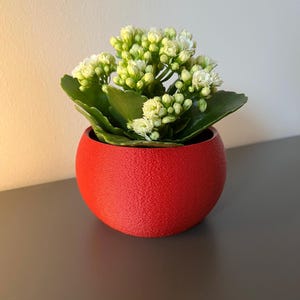 Custom, Stylish & Modern 3D Printed Planter/Plant Pot, Perfect for Small Plants