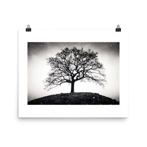 Lone Tree – Black & White Minimalist Landscape Poster