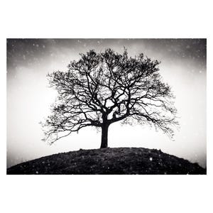 Solitary Tree – Moody Black & White Landscape Digital Download