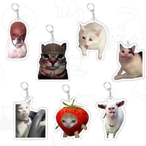May include: A collection of acrylic keychains featuring various animal memes. The keychains include a dog with a red mask, cats in hats, and a cat in a strawberry costume. Each keychain has a silver-colored ring.
