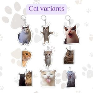 Könnte beinhalten: Eine Sammlung von Schlüsselanhängern mit Katzenmotiven, die verschiedene Katzenposen und -ausdrücke zeigen. Die Schlüsselanhänger sind aus klarem Acryl mit silberfarbenen Metallringen. Der Text "Cat variants" wird in einem lila Rechteck angezeigt. Der Hintergrund hat ein Muster aus weißen Pfotenabdrücken.