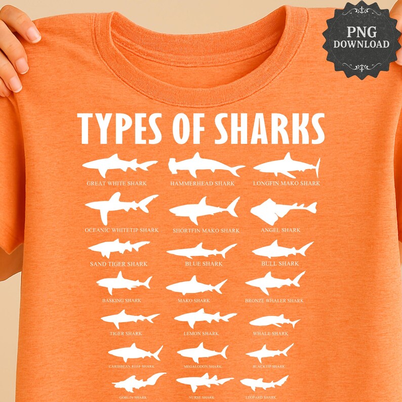 May include: Orange t-shirt featuring a white graphic of various shark species, including Great White, Hammerhead, and Tiger sharks. The text "TYPES OF SHARKS" is prominently displayed above the illustrations. A PNG download logo is in the upper right corner.