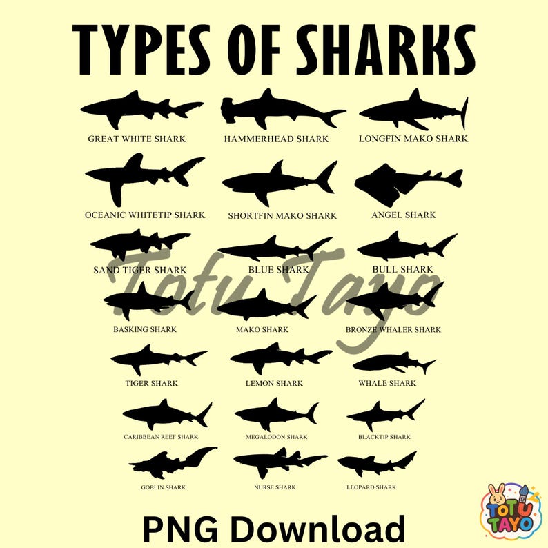 May include: A poster titled "Types of Sharks" features black silhouettes of various shark species, including Great White, Hammerhead, and Longfin Mako sharks. The image includes the text "PNG Download" and a logo.