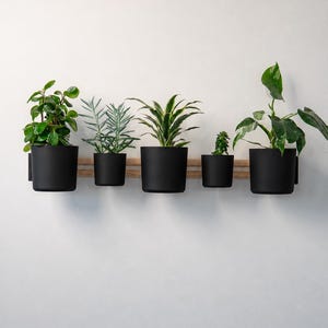 May include: A wall-mounted wooden rail holding five matte black cylindrical planters of varying sizes, each containing a different green houseplant. The plants include a leafy shrub, a spiky succulent, a pointed-leaf plant, a small sprout, and a vine.