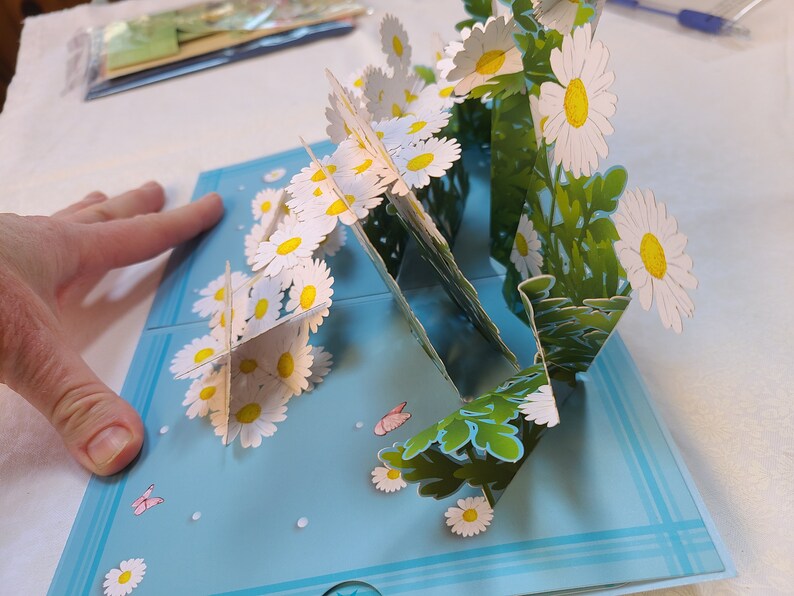 Daisy Pop up Card: Blue Greeting Card With Envelope - Etsy