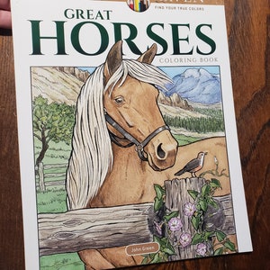 Great Horses coloring book for teens or adults; lovely pictures!