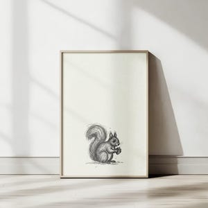 Squirrel Sketch Wall Art Line Drawing Print Dorm room decor