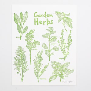 Garden Herbs Letterpress Art Print – Herbal Botanical Wall Art for Kitchen & Home
