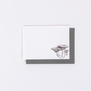 HERBST MUSHROOM NOTECARDS, Set von 10 flachen Letterpress Notecards, Herbstpilze, Wälder, irdischer Schatz, Tagundnachtgleiche, Naturforscher, Naturliebhaber