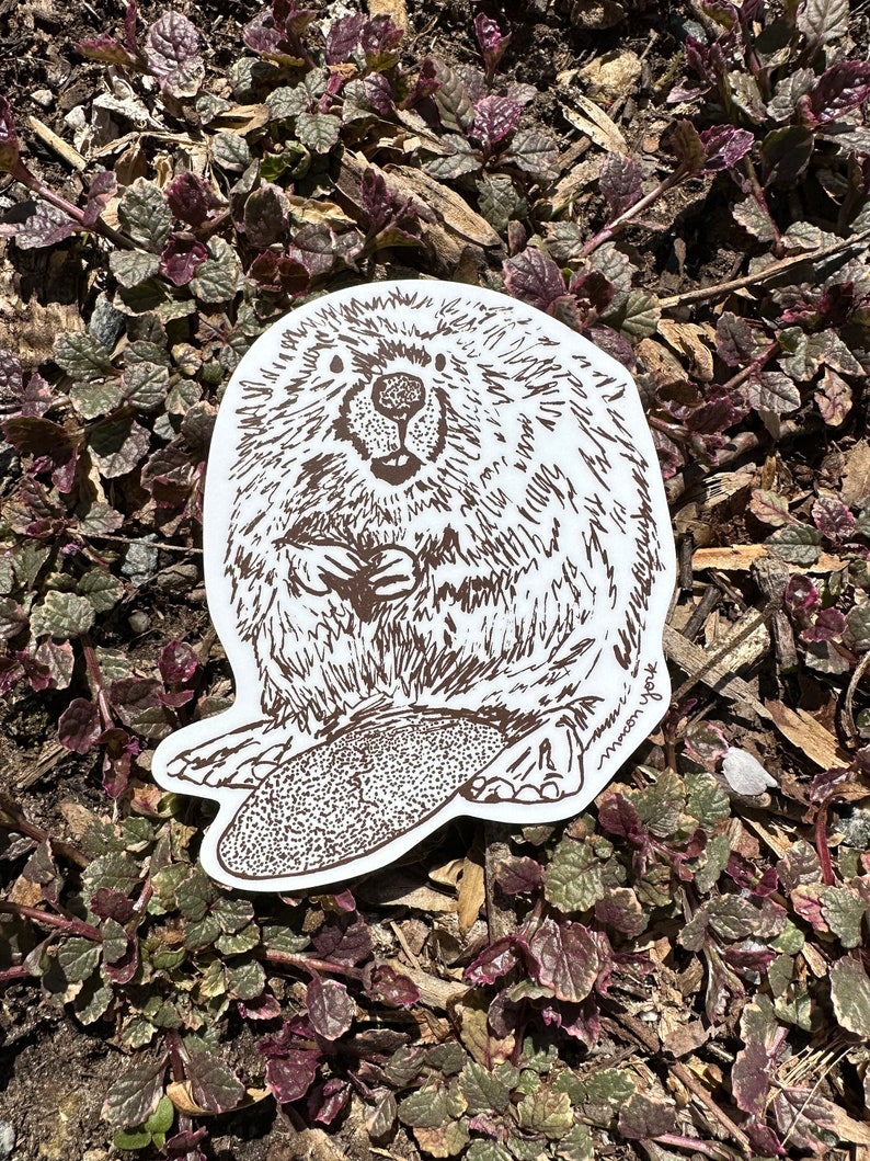 Appalachian Beaver Vinyl Sticker – Nature Lover & Wildlife Folk Art ...