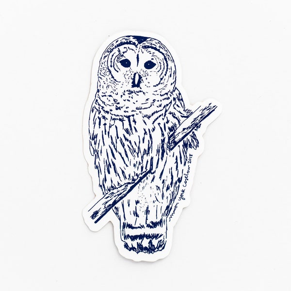 BARRED OWL Vinyl Sticker, Bumper Sticker, Nature Lover, Appalachian Art, Blue Ridge Mountains, Bird Watcher, Woodlands, Native Birds, Owls