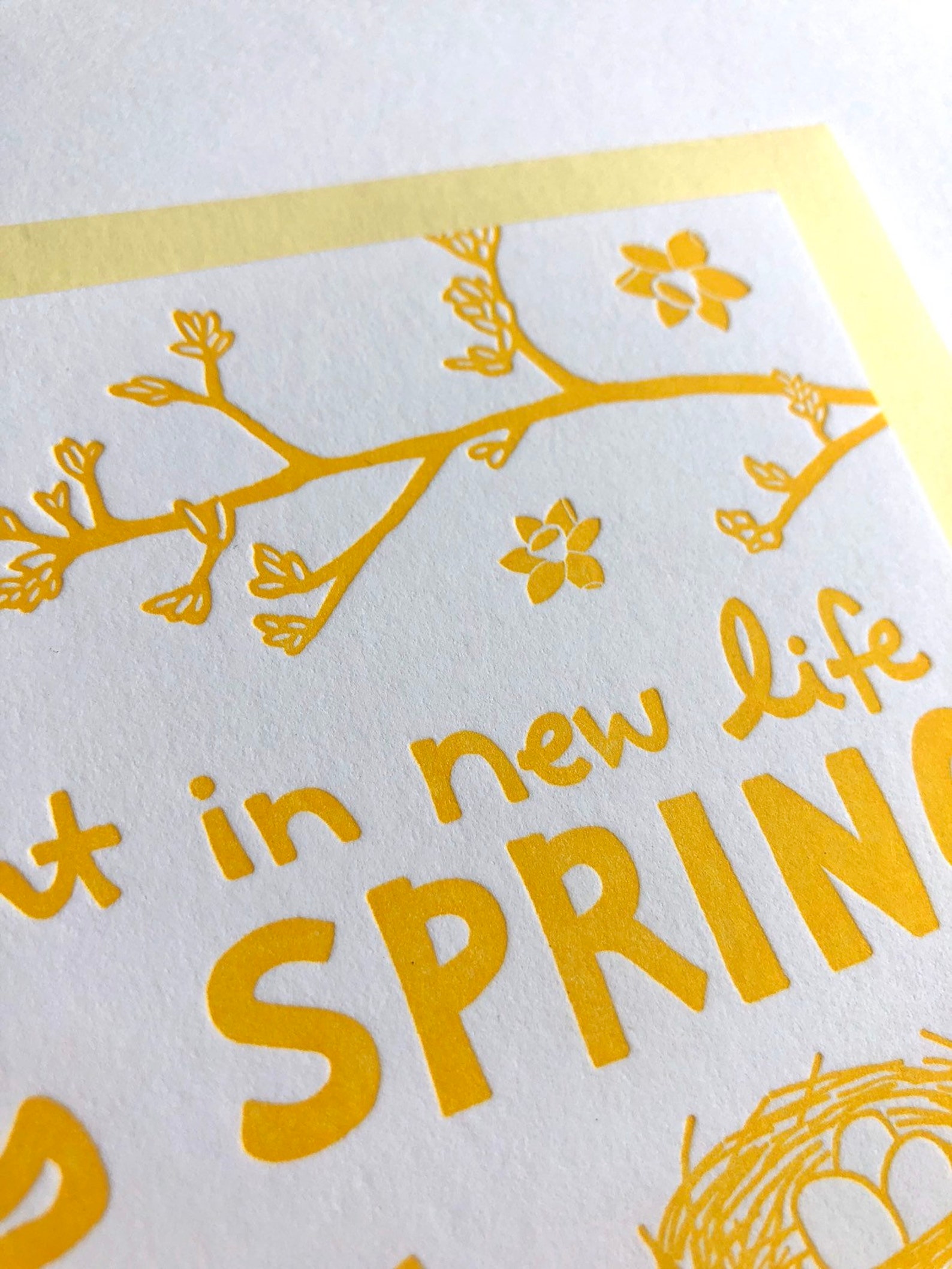 DELIGHT in NEW LIFE This Spring, Letterpress Greeting Card, Easter, New ...