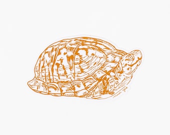 BOX TURTLE Vinyl Sticker, Appalachian Fauna, Nature Lover,