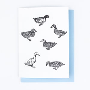 ENTEN GRUSSKARTE, Buchdruck, Appalachen Fauna, Vogelliebhaber, Bauernhof Tier, von Hand gezeichnet, Hinterhof Enten, Gehöft, Permakultur, Geflügel