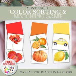 Puede incluir: Un juego Montessori de clasificación y emparejamiento de colores con 226 imágenes realistas en 14 colores. El juego incluye tarjetas con ilustraciones de una amapola roja y fresas, una naranja y una calabaza, y un coche amarillo y un limón.