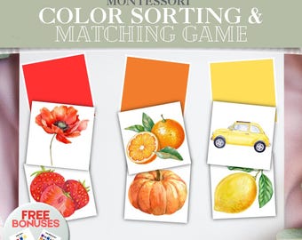 Montessori Color Sorting Matching Game | 14 colors | 226 Images + 2 Bonus Color Charts | Preschool Learning | Toddler's Recognition Activity