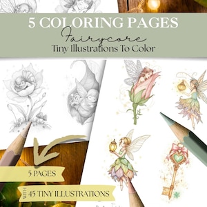 Puede incluir: Una colección de cinco páginas para colorear con ilustraciones de hadas. Las páginas presentan dibujos detallados de hadas en varios escenarios, incluyendo flores y sosteniendo linternas. El texto dice "5 Coloring Pages Fairycore Tiny Illustrations To Color".