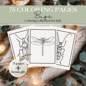 Puede incluir: Una colección de 75 páginas para colorear con ilustraciones de insectos para niños. Las páginas muestran dibujos lineales en blanco y negro de insectos, incluyendo una libélula y escarabajos. El texto dice "75 Coloring Pages Bugs Coloring collection for kids".