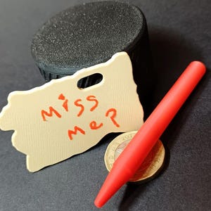 May include: A beige tag with the words "miss me?" in red, a red pen, a coin, and a black cylinder. The tag has a hole at the top. The coin is gold-colored.