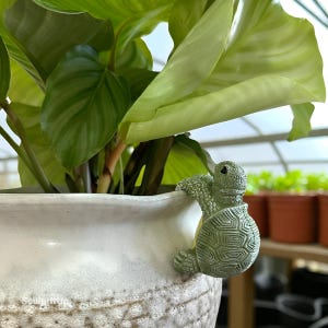 Puede incluir: Un colgador de maceta con forma de tortuga verde adorna una maceta de cerámica blanca con un borde texturizado. La maceta contiene una exuberante planta verde con hojas grandes y veteadas. El fondo muestra un invernadero.