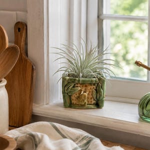 May include: A small, square, green ceramic planter with a textured design, holding a spiky air plant. A vintage-style green glass mister with brass accents sits nearby. Wooden spoons and cutting boards are in the background, suggesting a kitchen setting.
