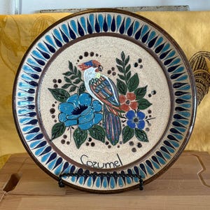 May include: A decorative ceramic plate featuring a colorful parrot perched amidst blue and red flowers and green leaves. The plate has a brown rim and a border of blue teardrop shapes. The word "Cozumel" is written on the plate.