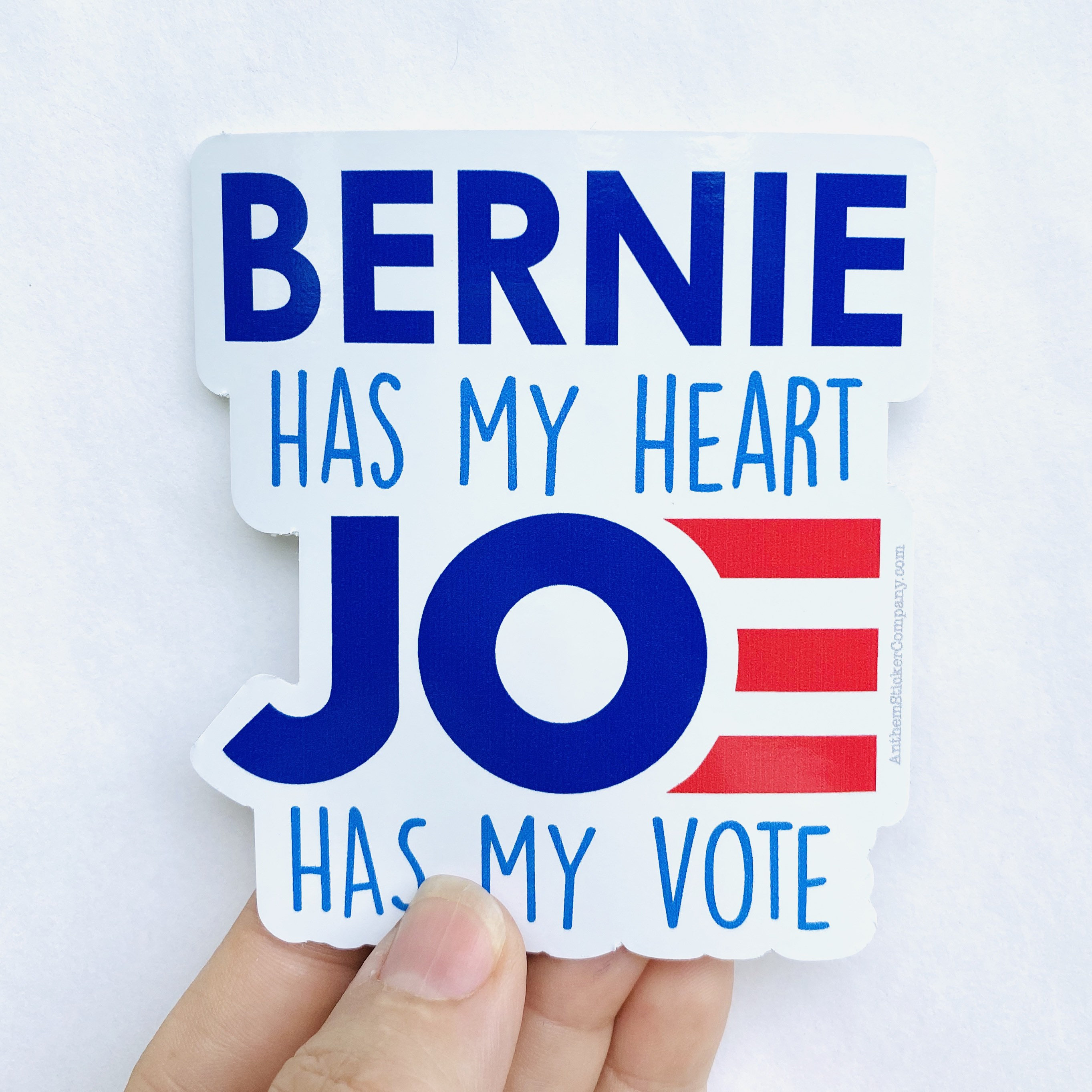 Joe has my vote vinyl sticker