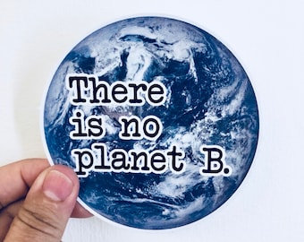 there is no planet B vinyl sticker