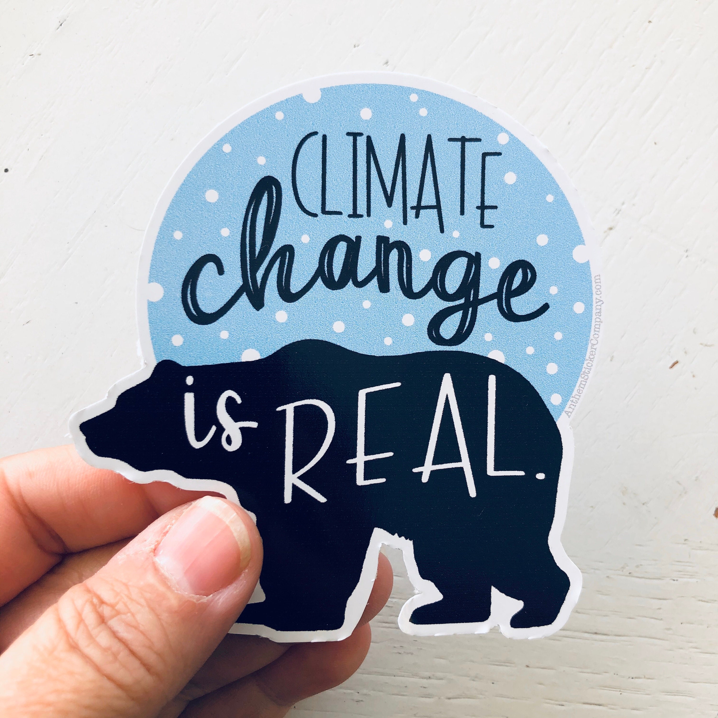 Climate Change is Real Polar Bear Vinyl Sticker - Etsy
