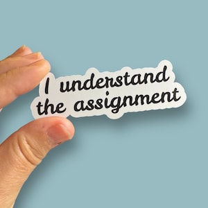 I understand the assignment Kamala Harris for President 2024 vinyl sticker