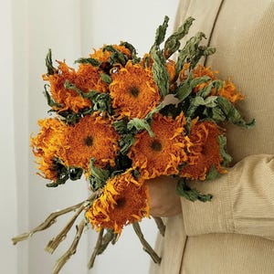 Könnte beinhalten: Ein Strauß getrockneter Sonnenblumen mit leuchtend orangefarbenen Blütenblättern und dunkelbraunen Zentren. Der Strauß enthält grüne, getrocknete Blätter und wird von einer Person gehalten, die ein beiges Cordhemd trägt. Die Stiele sind hellbraun.