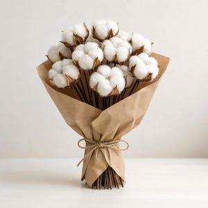 Gedroogde katoenbloemen – Natuurlijk wit katoenboeket, minimalistisch decoratief object