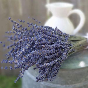 Könnte beinhalten: Ein Bündel getrockneter Lavendel mit lila Blütenköpfen und grünen Stielen. Der Lavendel ist mit einem weißen Band gebunden und liegt auf einer verzinkten Metalloberfläche. Eine weiße Keramikkrug ist im Hintergrund unscharf.