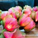 20 Bulbs Pink Lotus flower with leaf string lights for Patio,Wedding,Party and Decoration