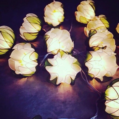Handmade Orange Juice Flower String Lights for Etsy