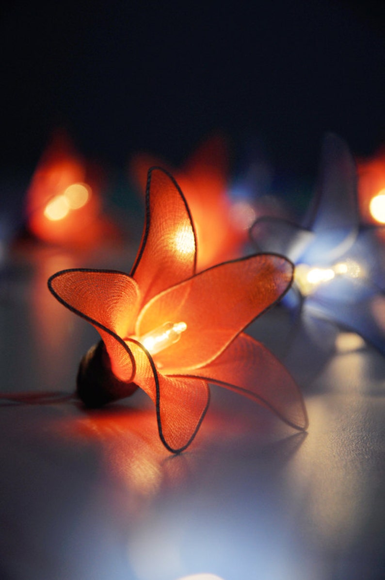 Orange & Blue Flower String Lights for Patioweddingparty and Etsy
