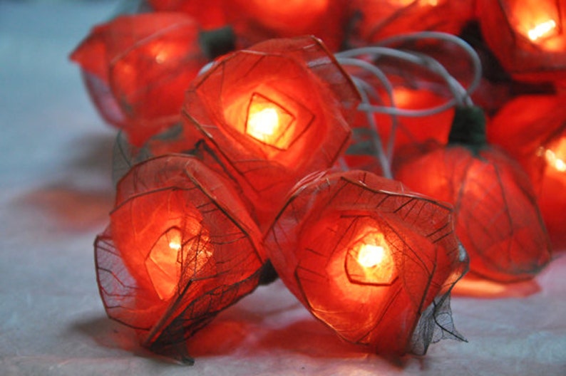 Orange Rose String Lights for Patioweddingparty and Etsy