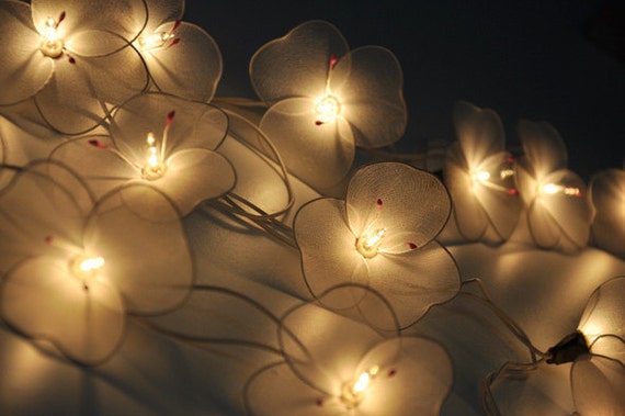white flower lights